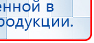 Электрод Скэнар - лицевой двойной Пешки купить в Тихорецке, Электроды Скэнар купить в Тихорецке, Медицинский интернет магазин - denaskardio.ru